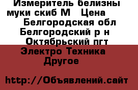 Измеритель белизны муки скиб-М › Цена ­ 7 000 - Белгородская обл., Белгородский р-н, Октябрьский пгт Электро-Техника » Другое   